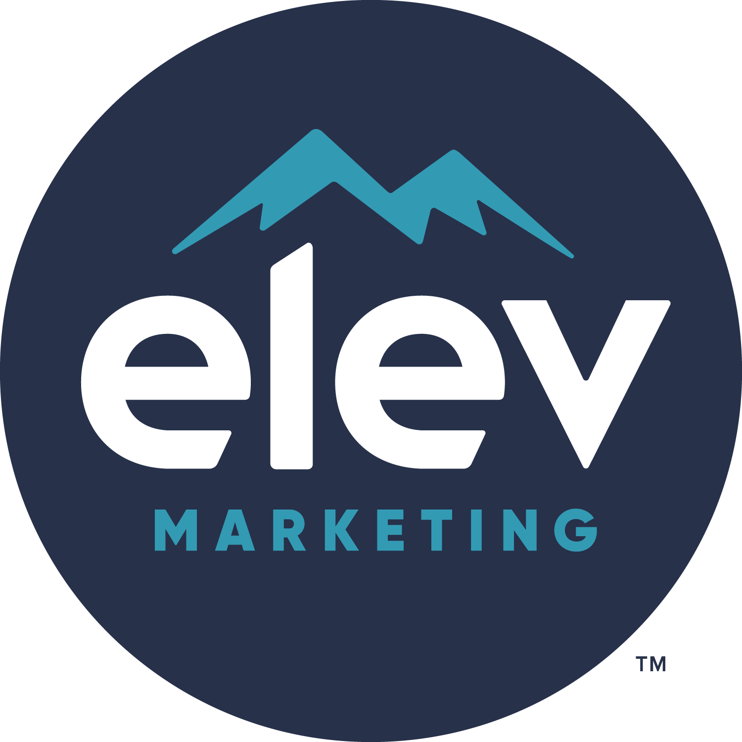 Elevation Marketing™ Logo