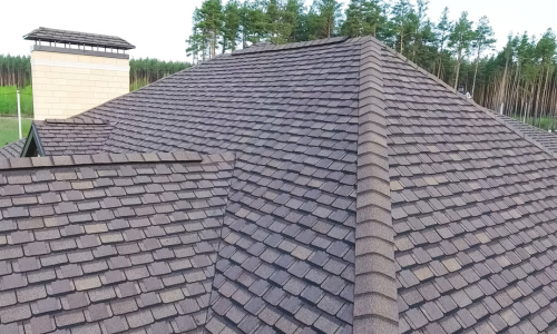 Roof Case Study