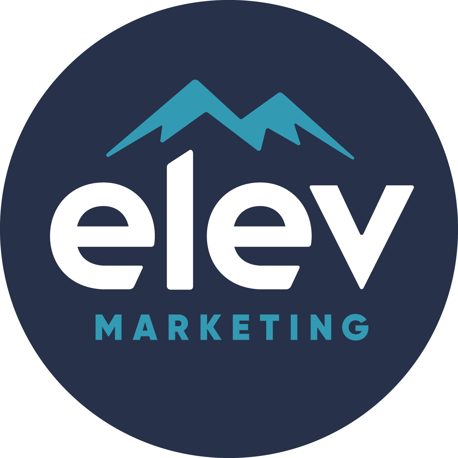 Elevation Marketing™ Logo